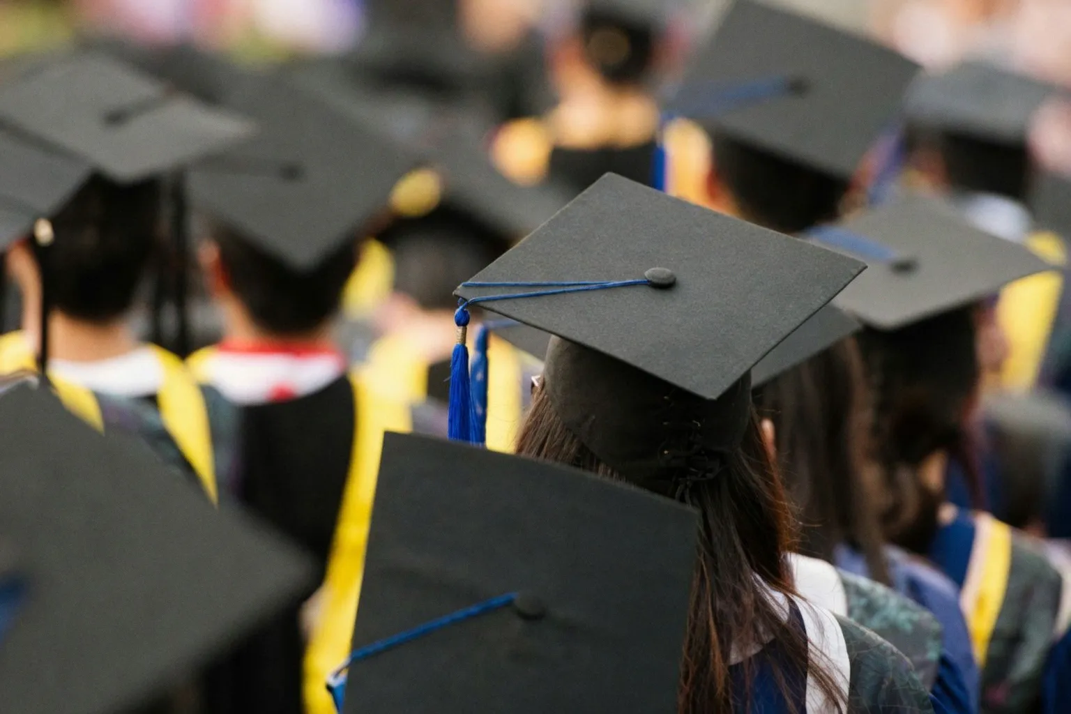 International students account for 12.6% of higher education institutions' enrollment, says ministry