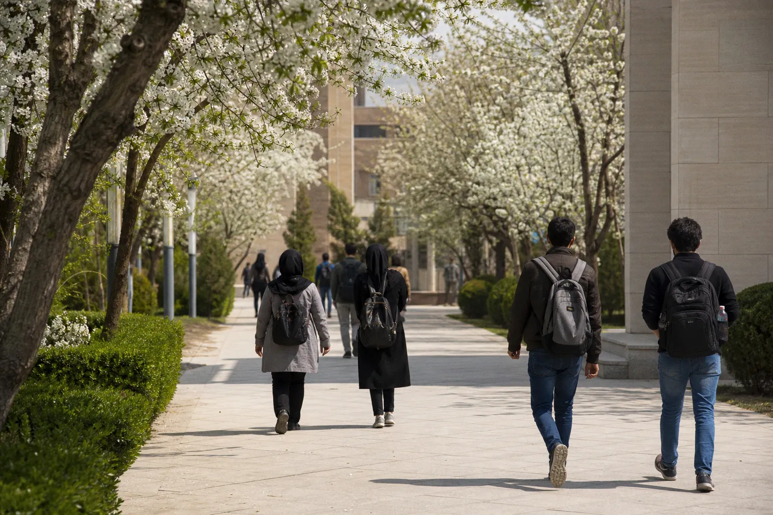 Master’s Degree Admissions at Allameh Tabataba'i University